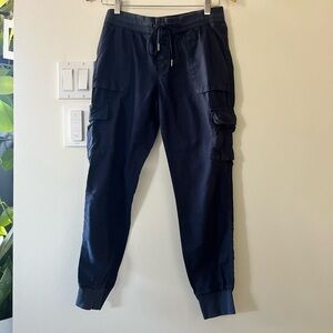 Aritzia Navy Cargo Joggers